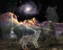 Star Wolf